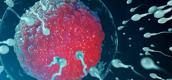 Reproductive health