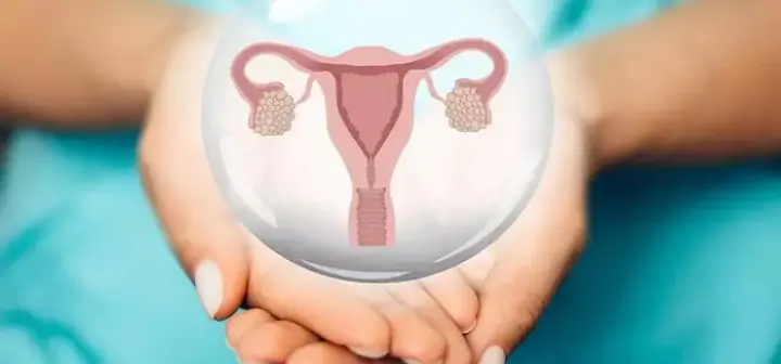 Ovaries