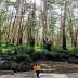 UserImage