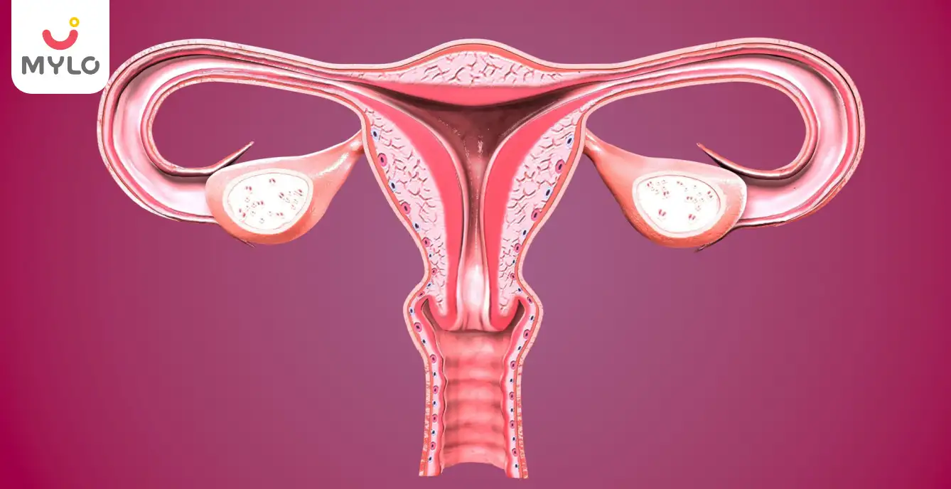 Image related to Reproductive health