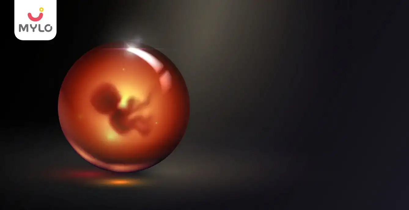 Image related to Fetal Growth