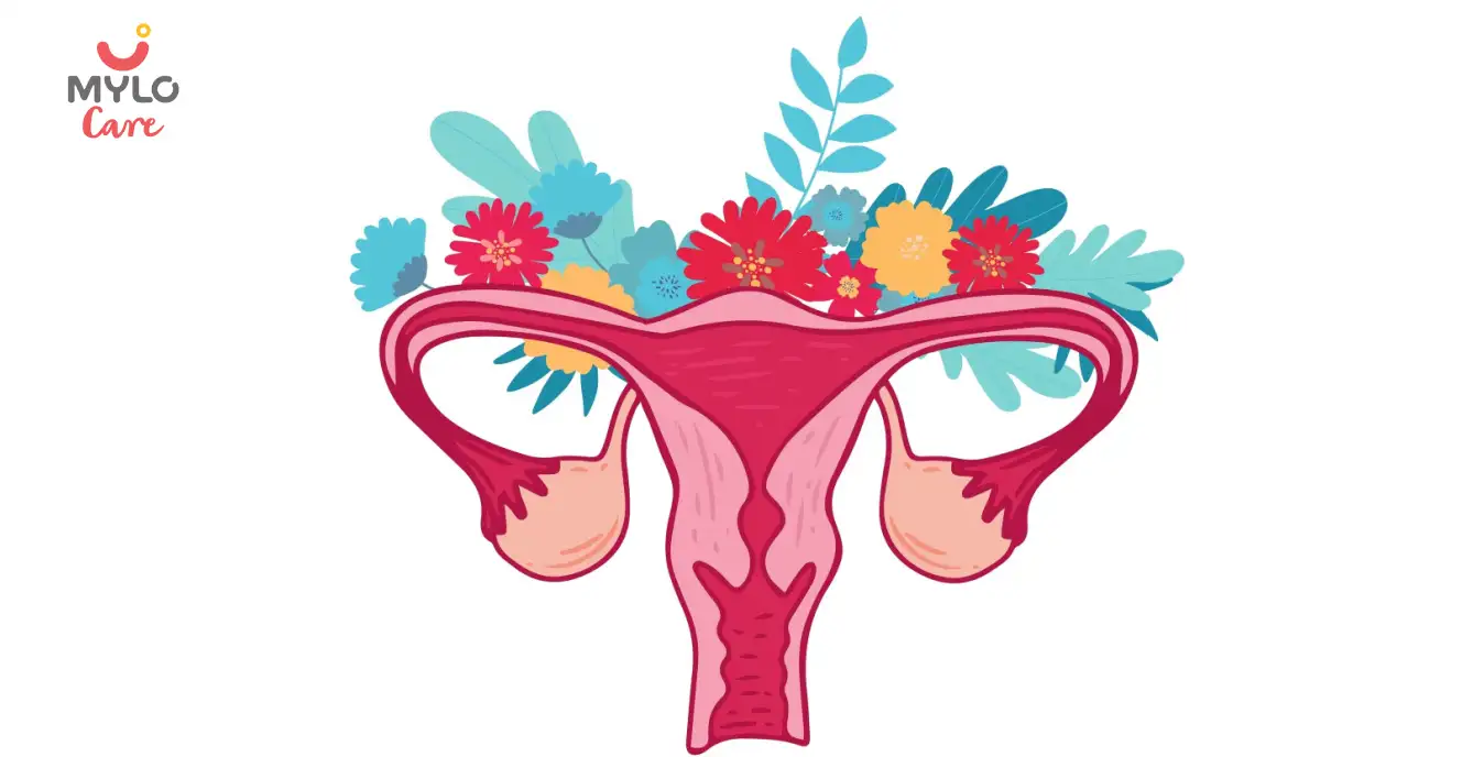 Image related to PCOS & PCOD