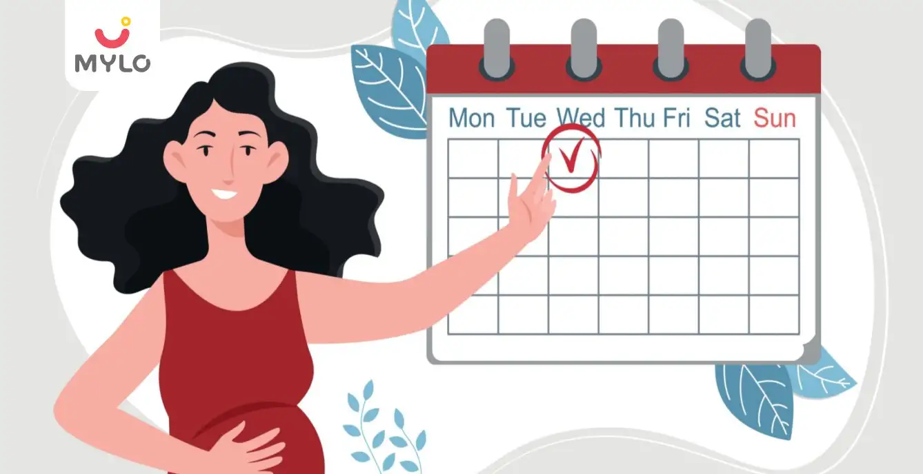 Image related to Pregnancy Journey