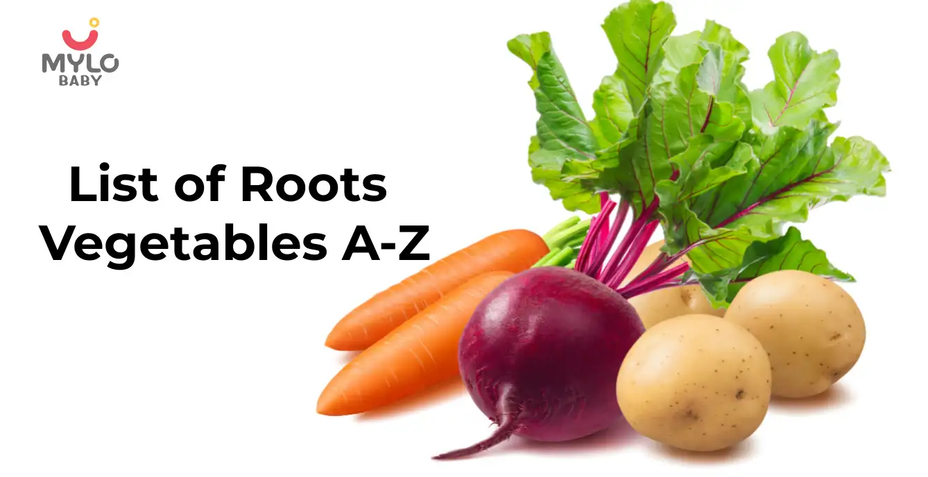 The A-Z Guide to Identifying Root Vegetables Names for Kids | MyloFamily