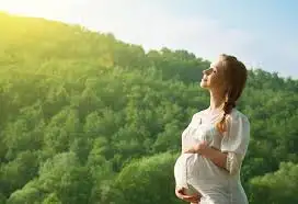 Image related to Pregnancy Journey