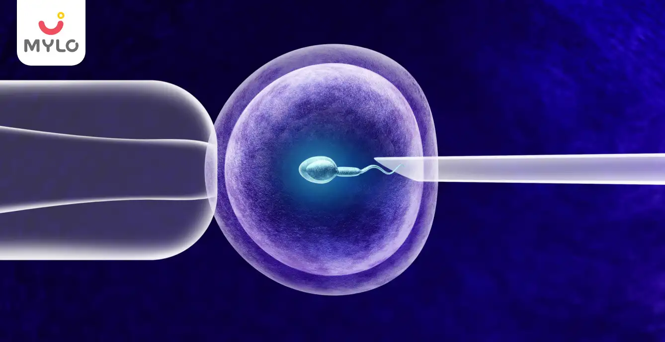 Image related to In Vitro Fertilization (IVF)