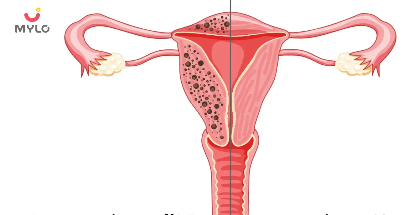 Image related to Hormones
