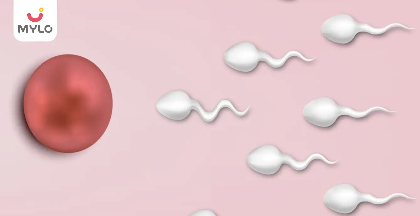 How Long Does Sperm Take to Reach the Egg?