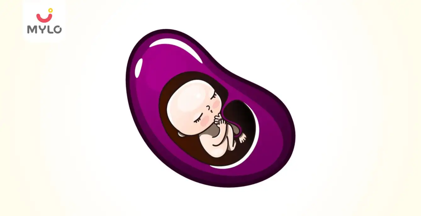 Image related to Pregnancy Journey