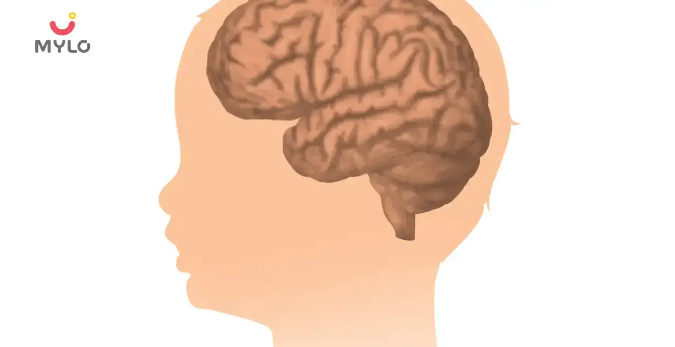 Image related to Brain Development