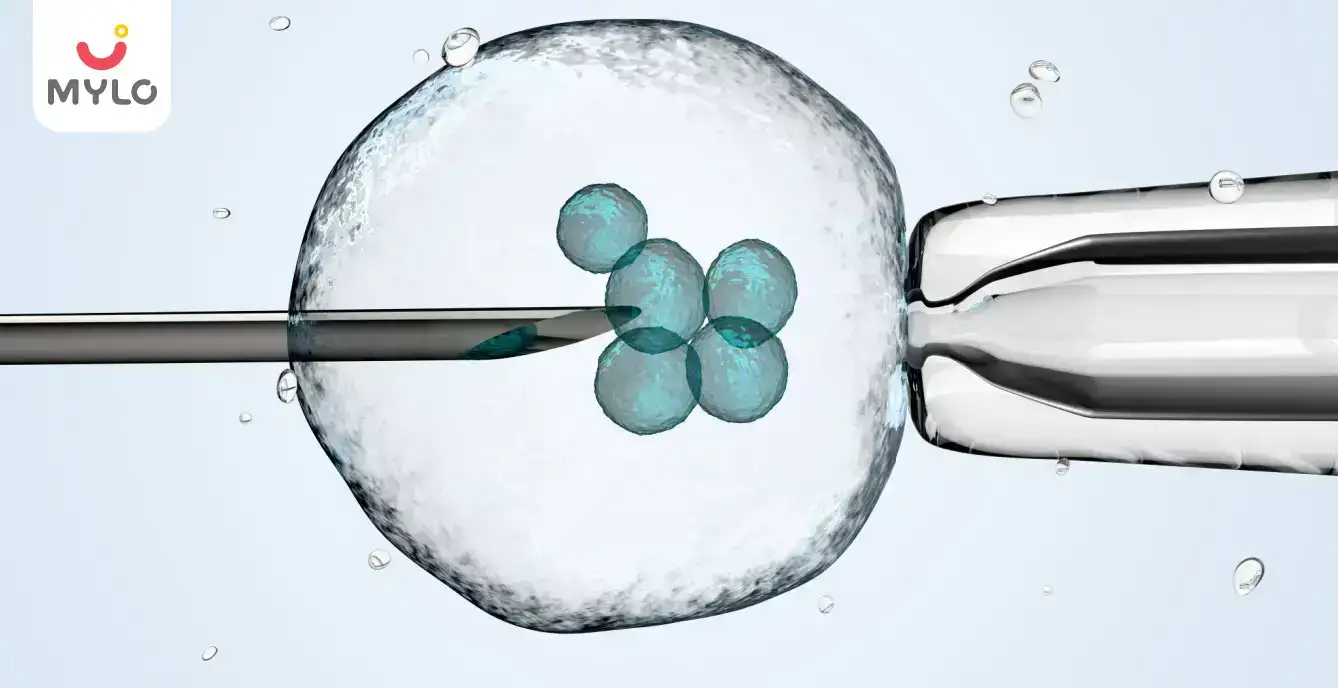 Image related to In Vitro Fertilization (IVF)