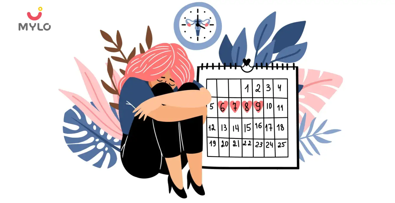 Image related to Menstrual Cycle