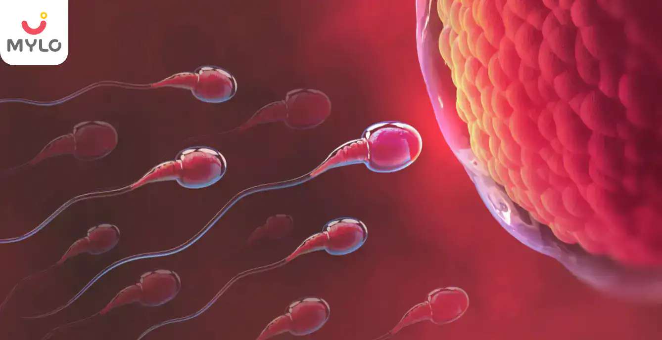 Image related to Conception