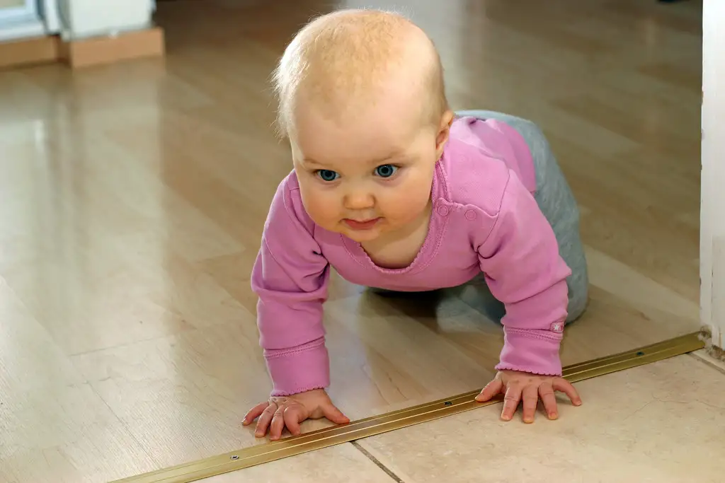 When Do Babies Start Crawling MyloFamily