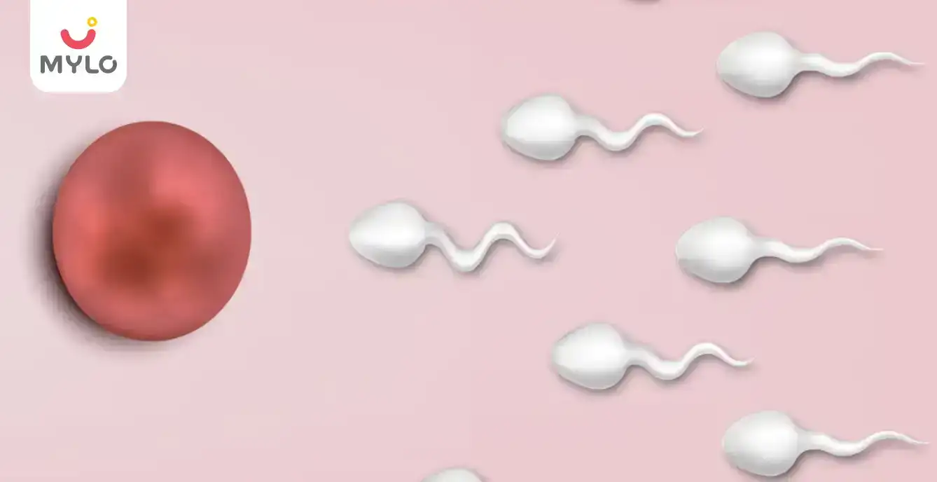 Image related to Conception