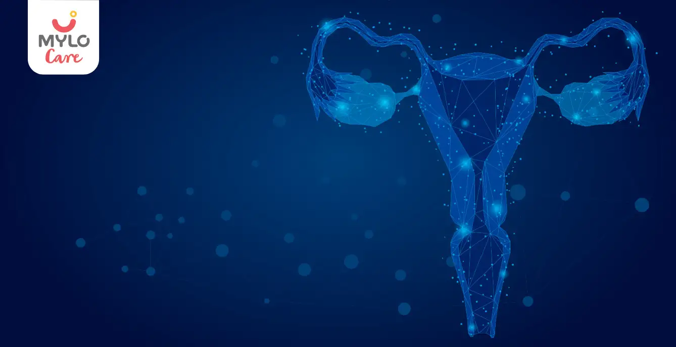 Bulky Ovaries Explained: What Every Woman Should Be Aware Of