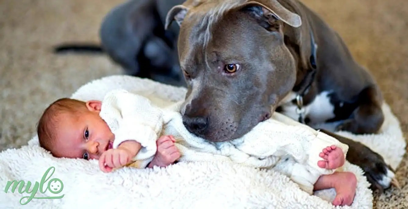 Image related to Parenting Tips