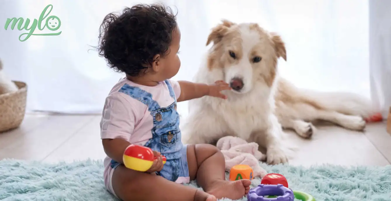 Image related to Caring for your Newborn