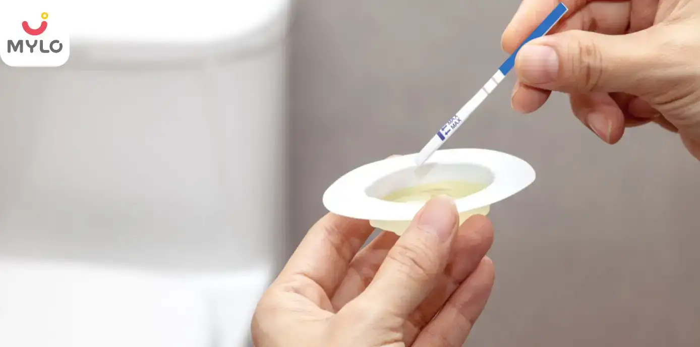 How to Use Pregnancy Strip Test