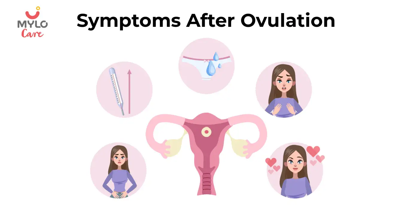 Symptoms After Ovulation If Pregnant 1-14 DPO (Days Past Ovulation)