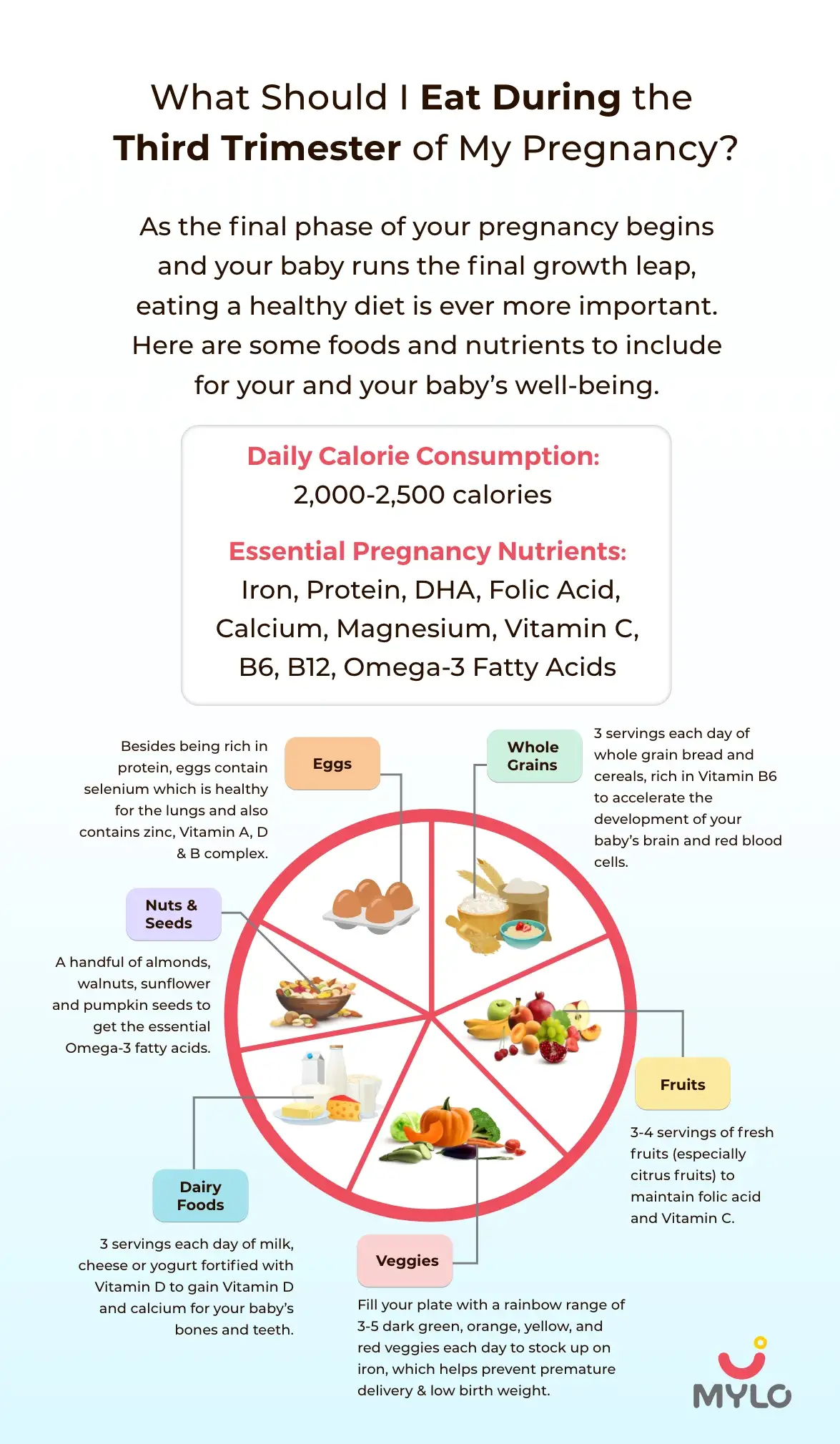 Pregnancy Diet Charts: Trimester by Trimester