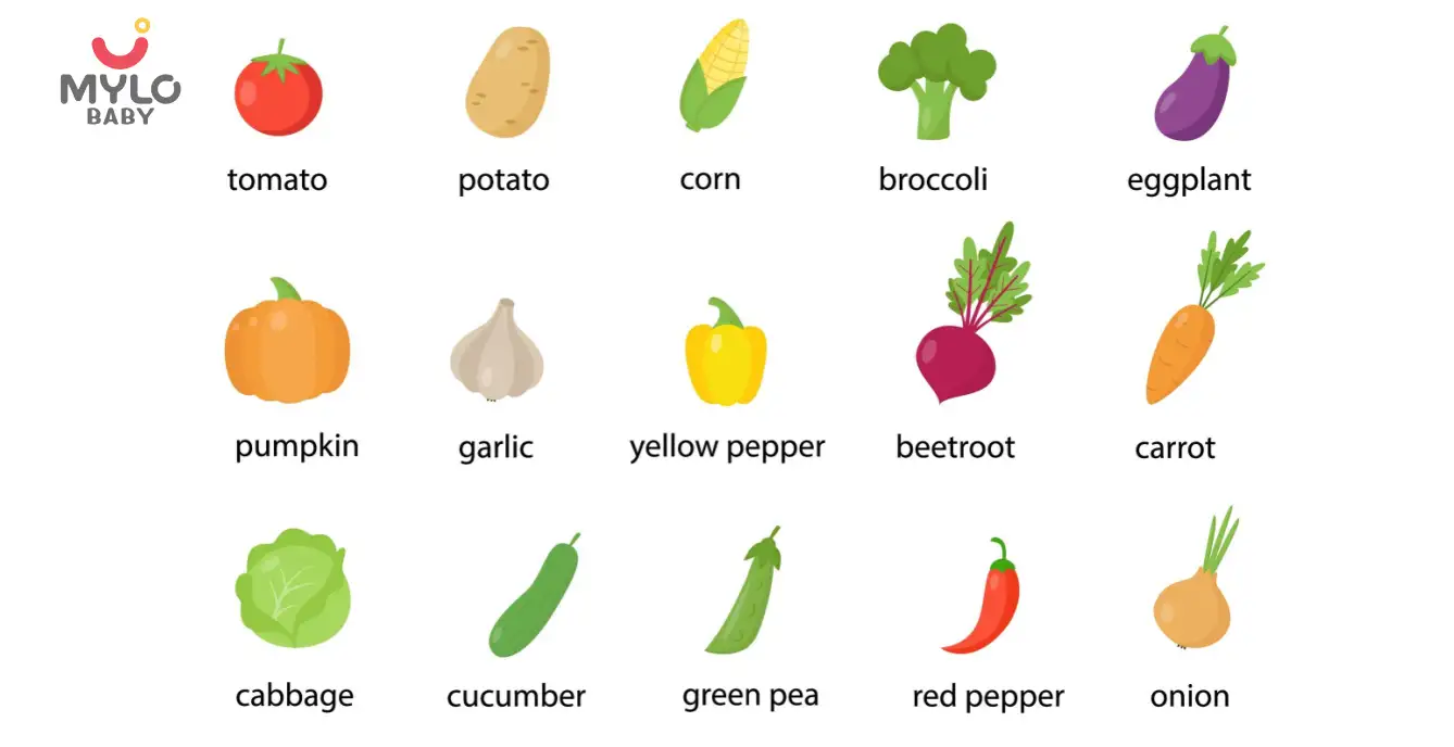 List Of Fruits And Vegetables In English With Pictures