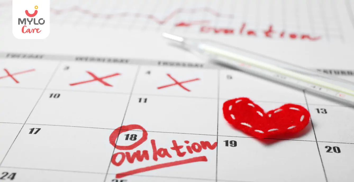 Late Ovulation: Can You Ovulate Late And Still Get Pregnant?