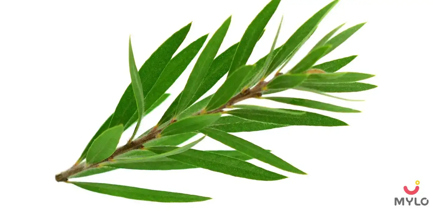 Image related to skin care