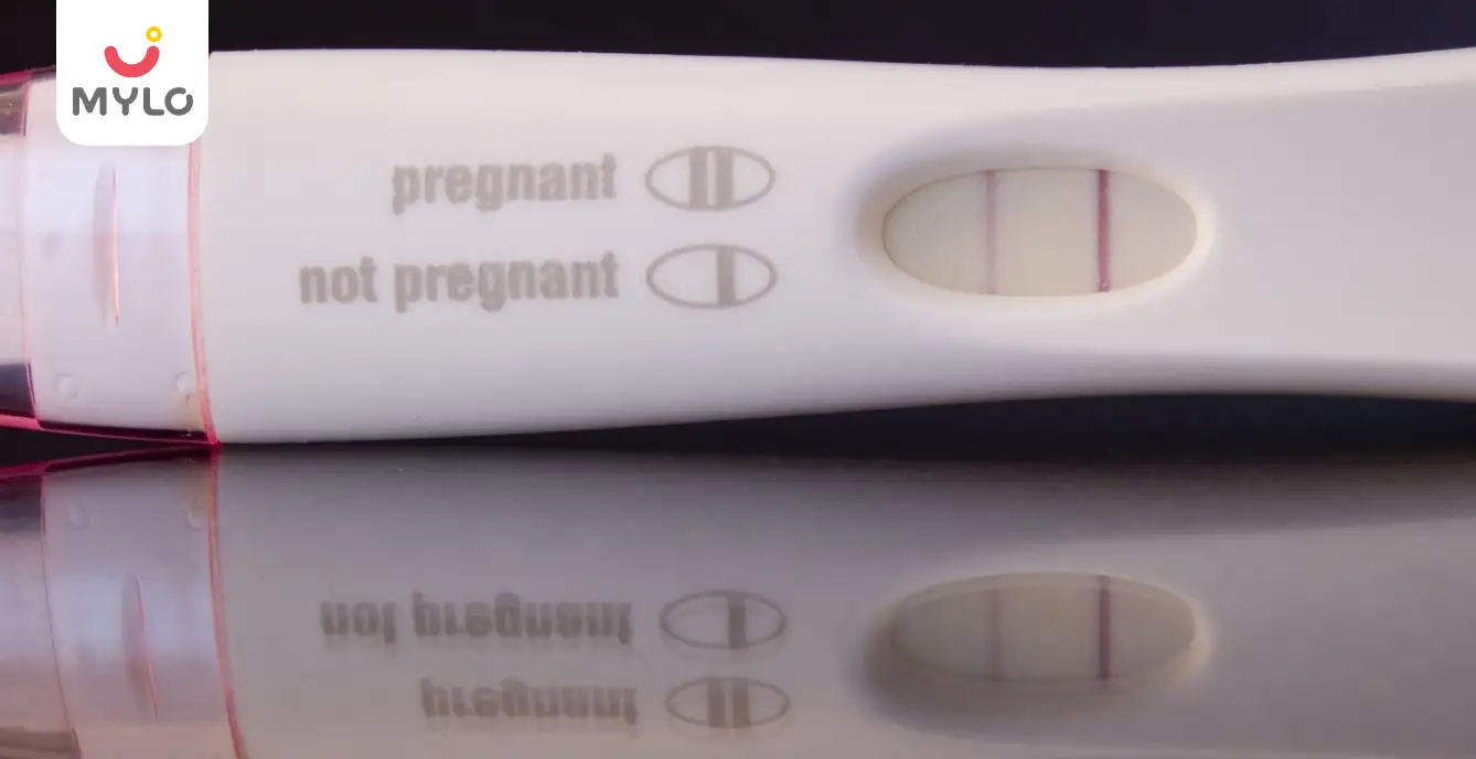 Evaporation Line Vs Faint Positive The Ultimate Guide To Pregnancy 