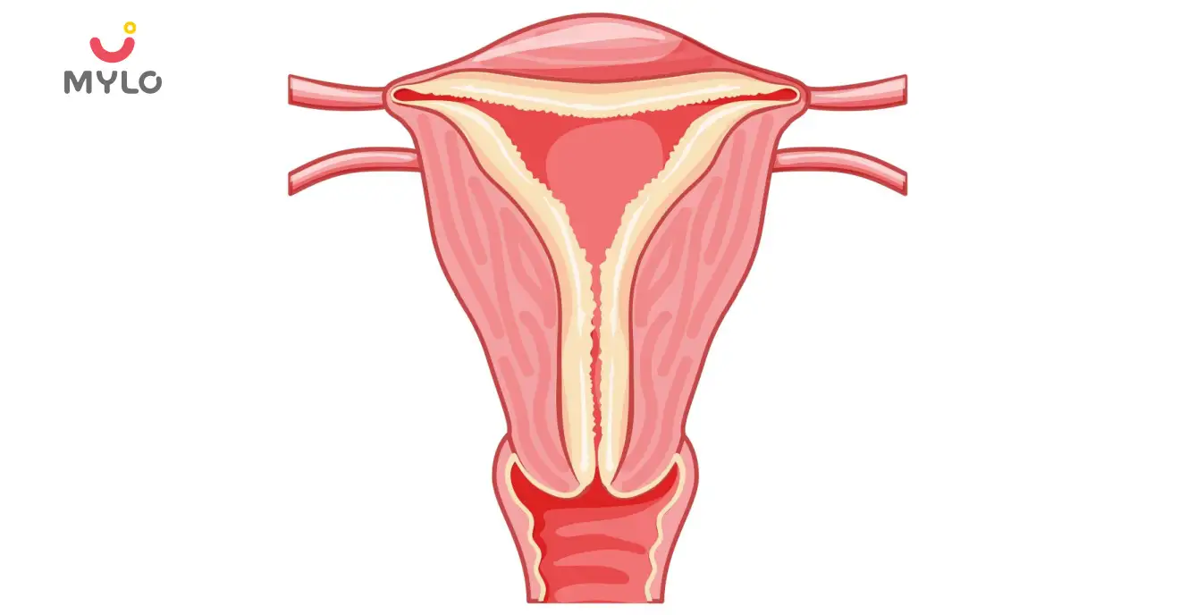 Image related to Fertility