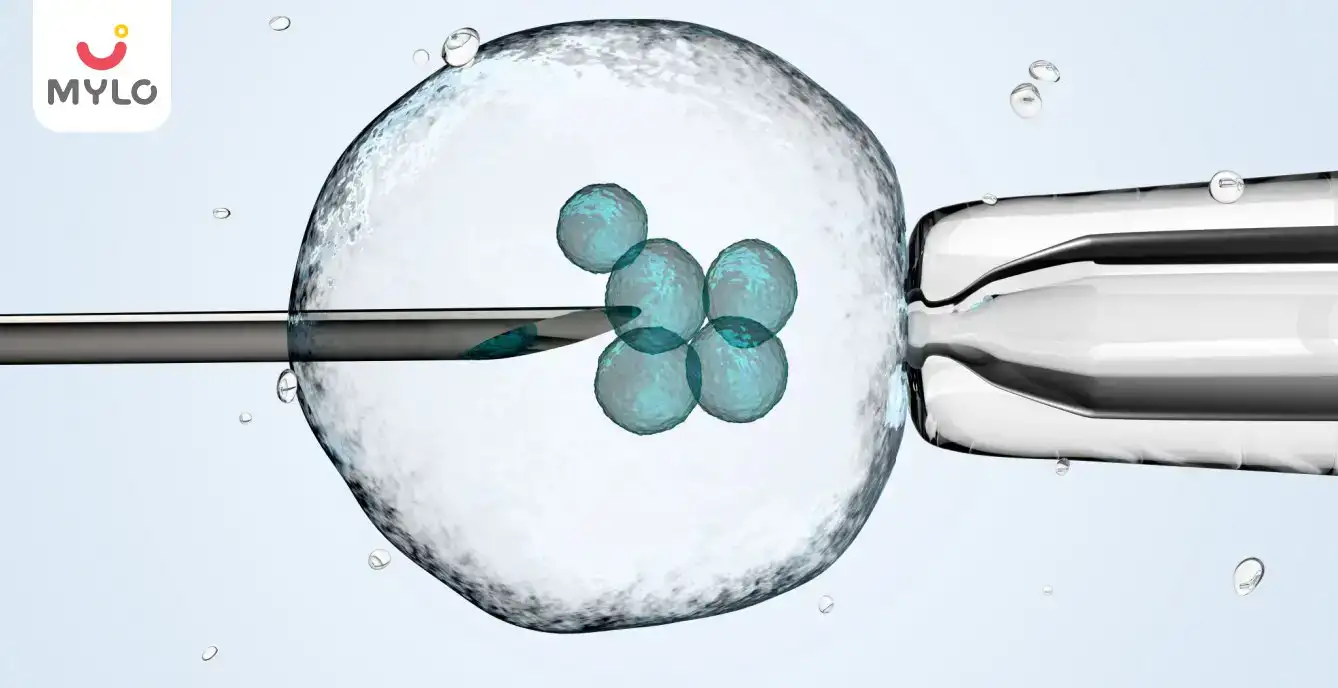 IVF With Donor Egg Process Step by Step: A Beginner's Guide