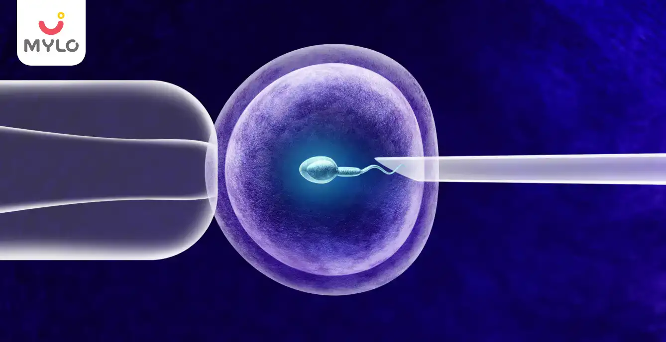 Image related to In Vitro Fertilization (IVF)