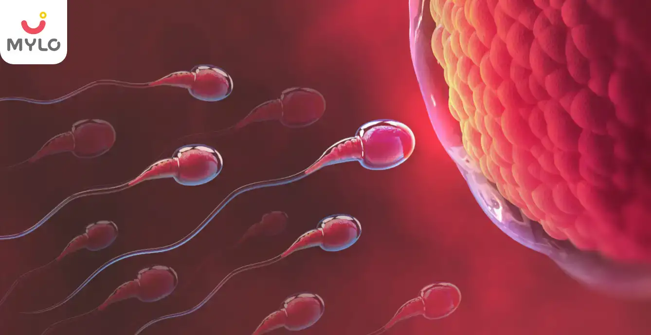 Images related to How Much Sperm is Needed for an Intrauterine Insemination Procedure?